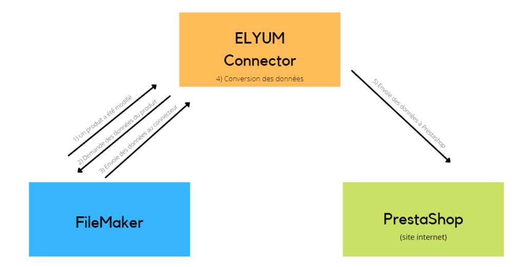 Elyum Connector